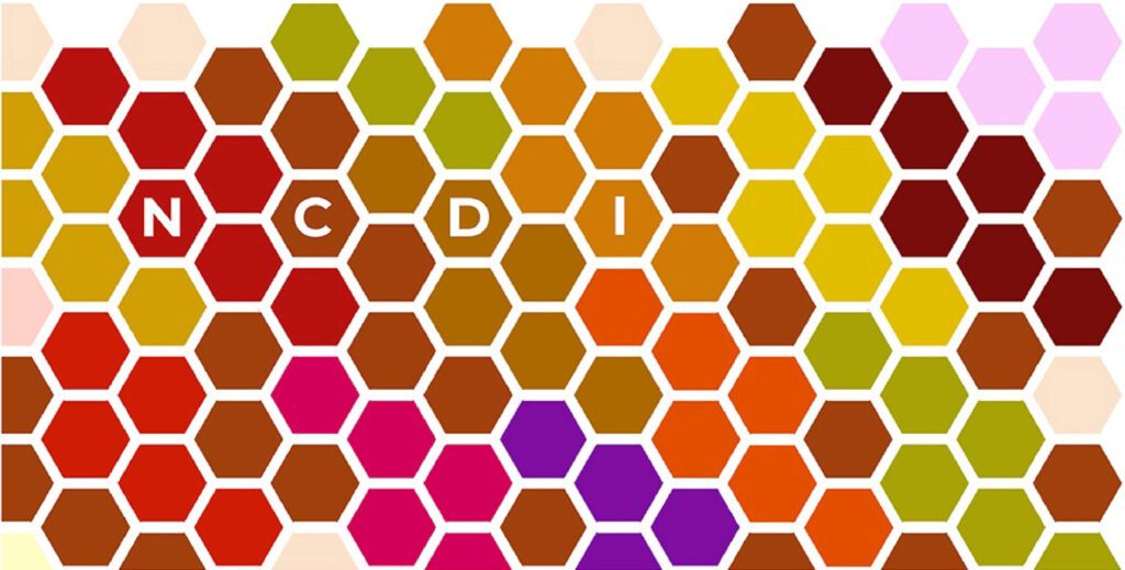 Craft Centre honeycomb color banner